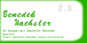 benedek wachsler business card